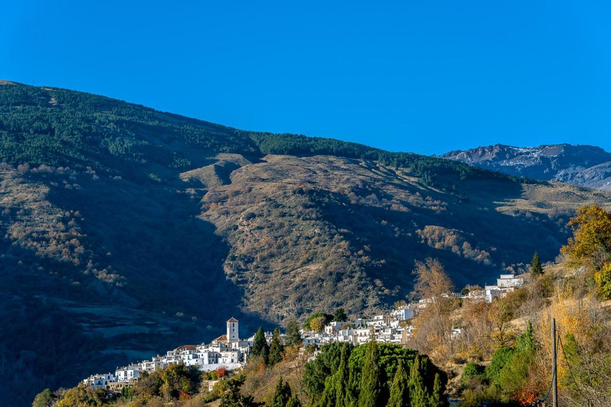 Apartamento Casa Manuela En Capileira - Alpujarra Экстерьер фото